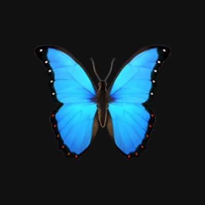 Buttrfly