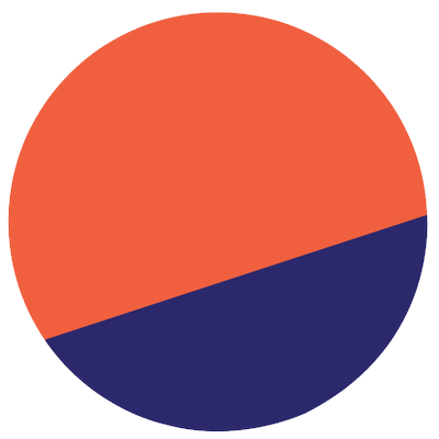 projectLogo